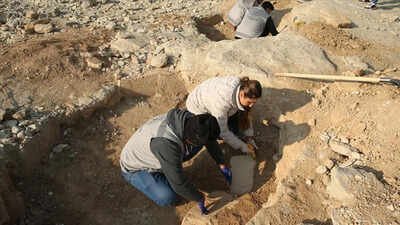 Turkey Discovery: 11,000-year-old structure found in Turkey reveals early human life | World News