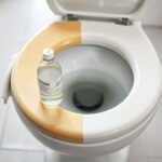 The simple bathroom fix that can restore yellowed toilet seats |