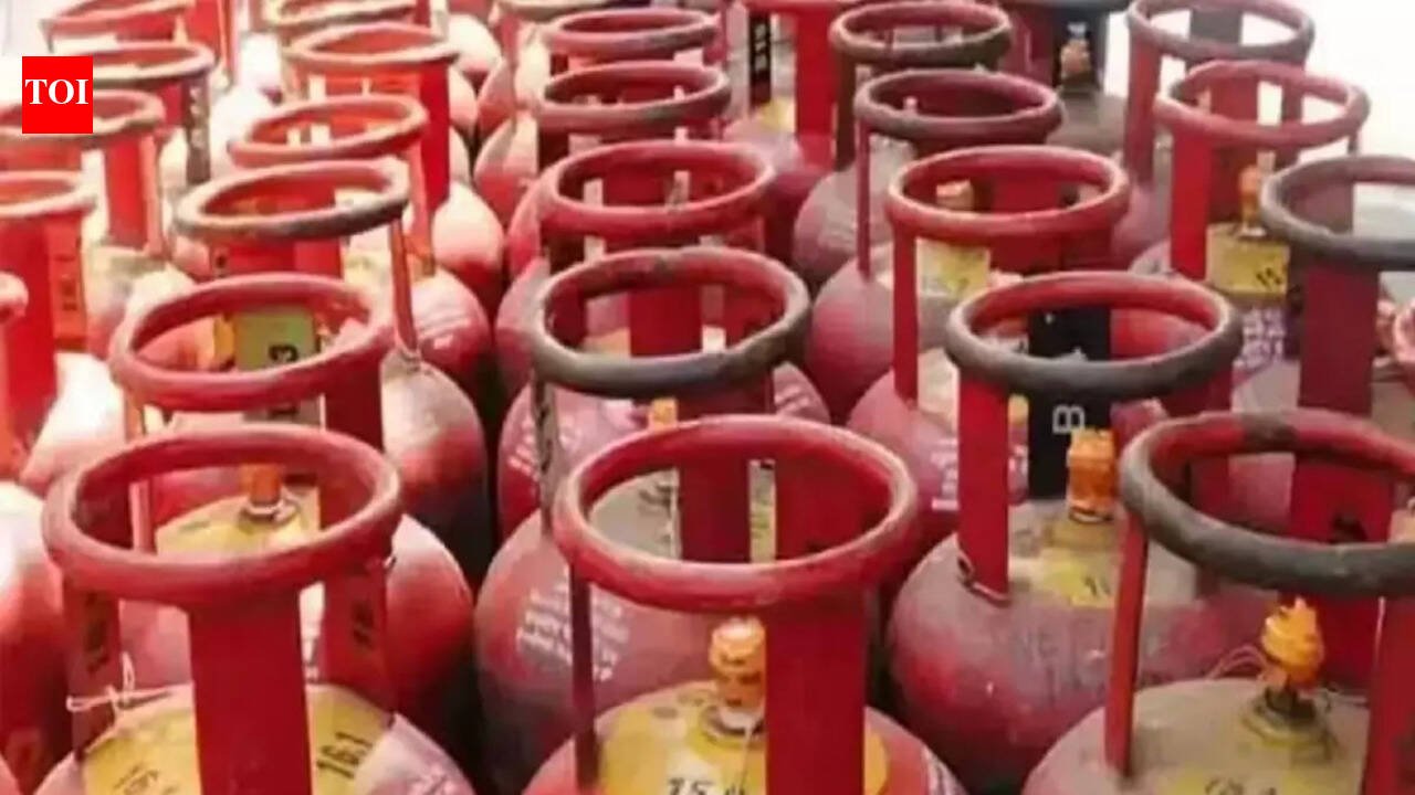 'Ships continuously coming even amid blockage': Centre assures 100% energy supplies across the country