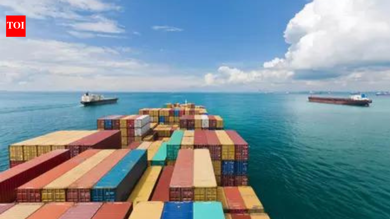 Middle East crisis: Govt reviews shipping, packaging issues with exporters; relief measures discussed