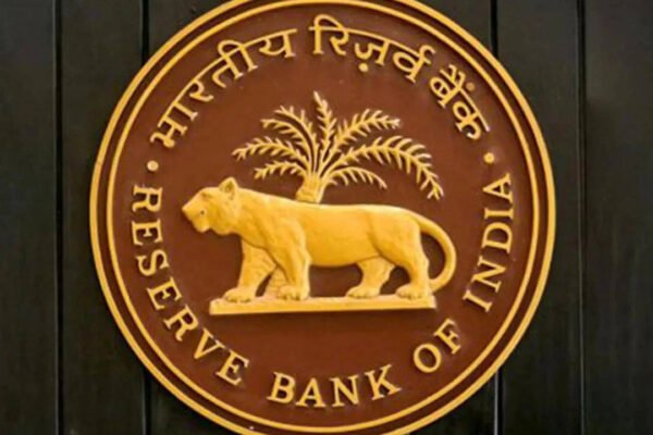 Payment lags can help curb digital fraud: RBI