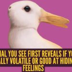 Optical illusion personality test: Rabbit or duck? The animal you see first reveals if you are emotionally volatile or good at hiding your feelings |