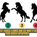 Personality test: Choose a horse and see what it reveals about your hidden superpower |