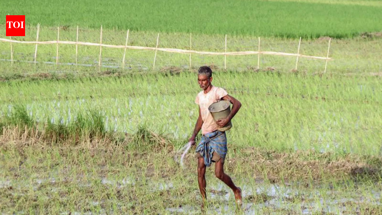 Govt says El Nino risk to farm output manageable, cites irrigation, reservoirs, seed buffers