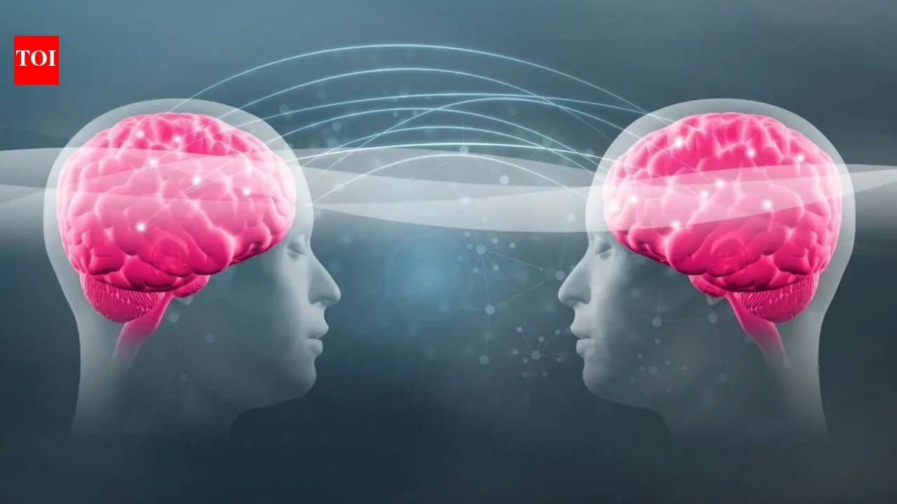 ‘Cutest thing ever’: The viral ‘Twin Telepathy Challenge’ is winning hearts on the internet |