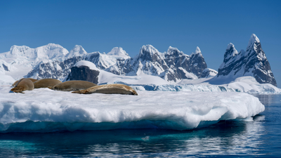 Antarctica’s “point of no return”: Scientists warn the meltdown may be unstoppable