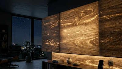 Wood Battery: Forget solar panels: This ‘wood battery' powers homes even in total darkness |