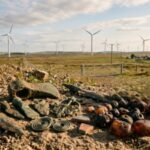 Wind turbine workers struck a 3,000-year-old treasure and revealed a glittering hoard of Bronze Age jewellery |