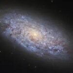 Small galaxies, big questions: Study probes black holes in dwarf systems