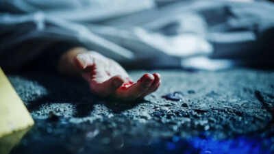 Chennai tragedy: Man kills influencer wife; dies by suicide; bodies found in Nanganallur home | Tamil Movie News