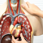 Foods that support your lungs, liver, gut, and eyes