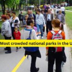 5 most crowded national parks in the USA; what travellers should know