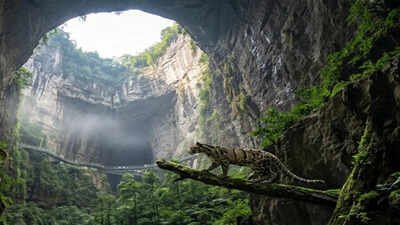This giant 'heavenly pit' in China holds a hidden ecosystem below ground that has its own climate and wildlife far below the surface |
