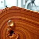 The wax trap: Why your polishing routine is robbing your wood furniture of its natural glow |