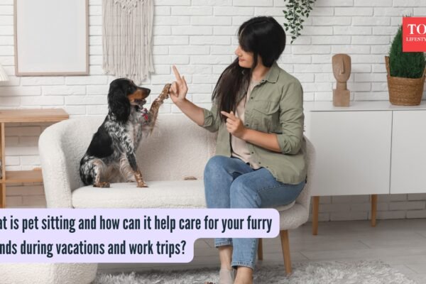 What is pet sitting and how can it help care for your furry friends during vacations and work trips?