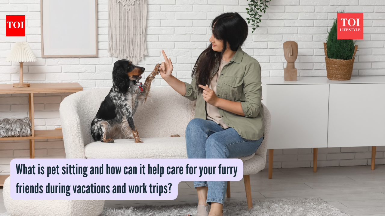 What is pet sitting and how can it help care for your furry friends during vacations and work trips?