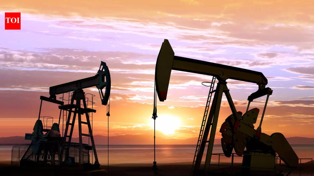 Oil marketing companies seek LPG, petrol, diesel price hike as Iran war deepens losses