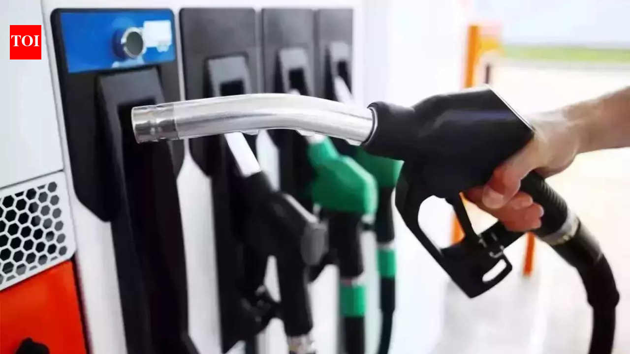 US fuel price shock: Lower-income households cut driving as gasoline costs surge; study flags widening inequality