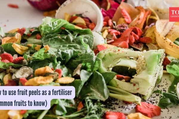 How to use fruit peels as a fertiliser (common fruits to know)