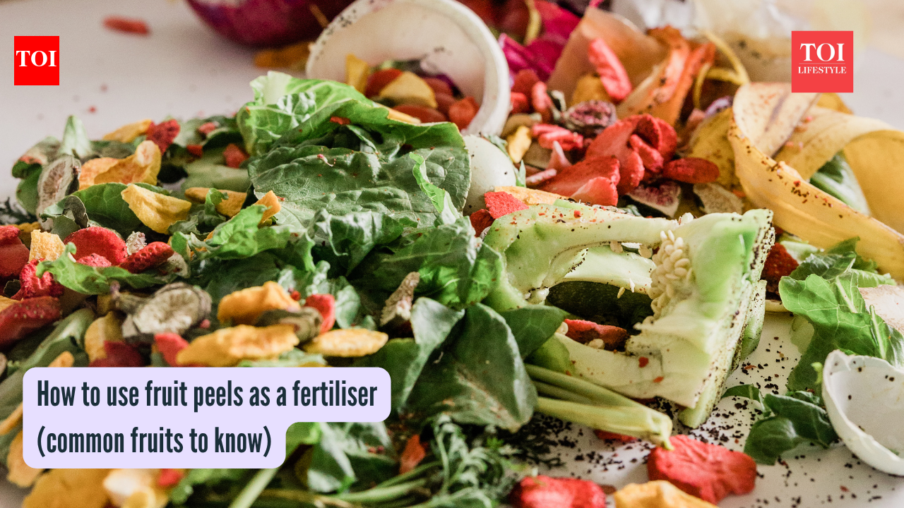 How to use fruit peels as a fertiliser (common fruits to know)