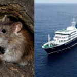 Hantavirus outbreak: WHO warns 12 countries after South Atlantic cruise ship confirmed cases; raising global travel health concerns |