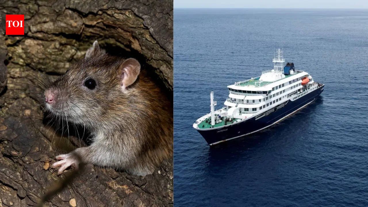 Hantavirus outbreak: WHO warns 12 countries after South Atlantic cruise ship confirmed cases; raising global travel health concerns |