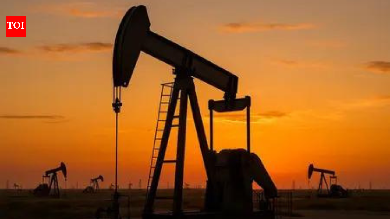 Middle East turmoil to keep oil prices elevated for years, dent India’s GDP growth: ADB chief economist