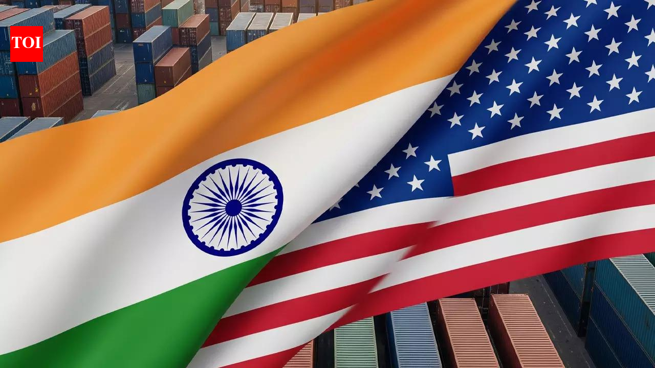 India-US trade deal talks to continue as New Delhi expects American team visit, says official