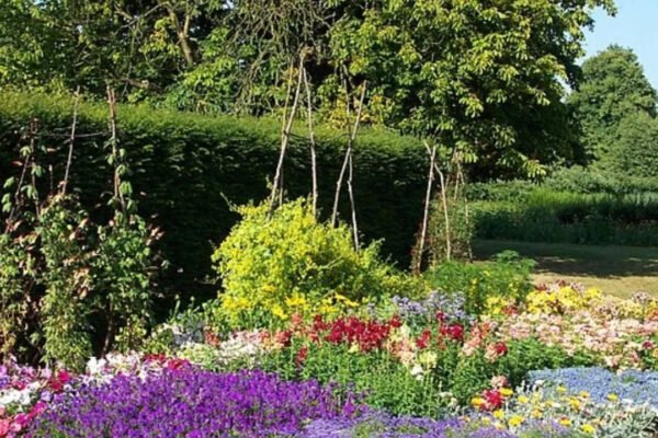 The biggest mistake people make with full-sun flower beds that start looking dull by late summer