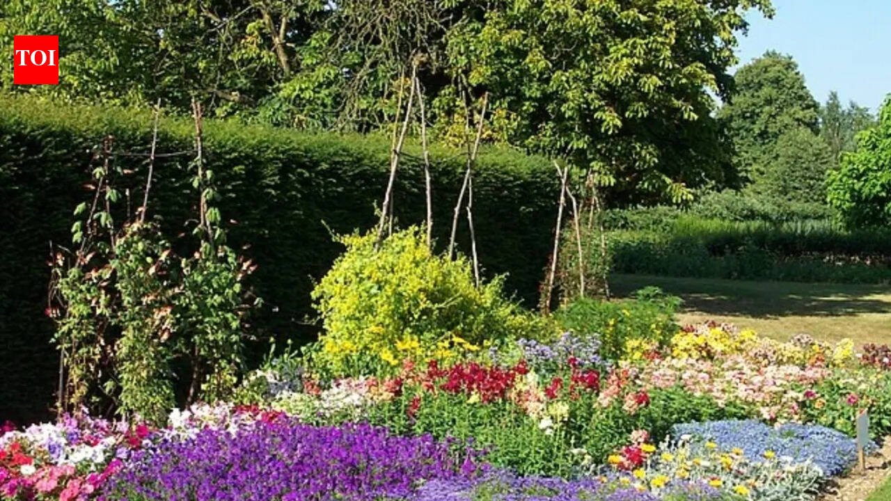 The biggest mistake people make with full-sun flower beds that start looking dull by late summer