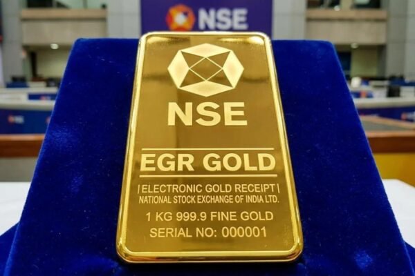 What are EGRs, how do they work, and what investors should know