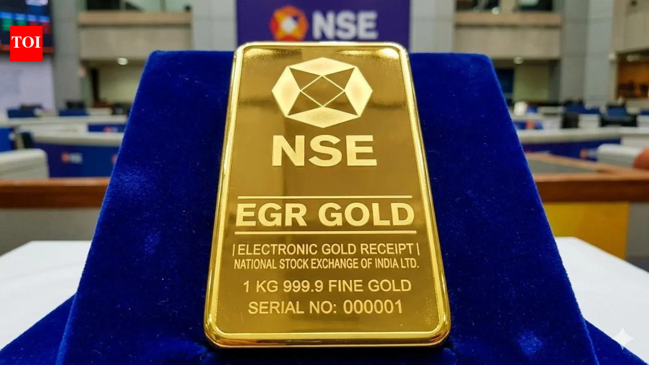 What are EGRs, how do they work, and what investors should know