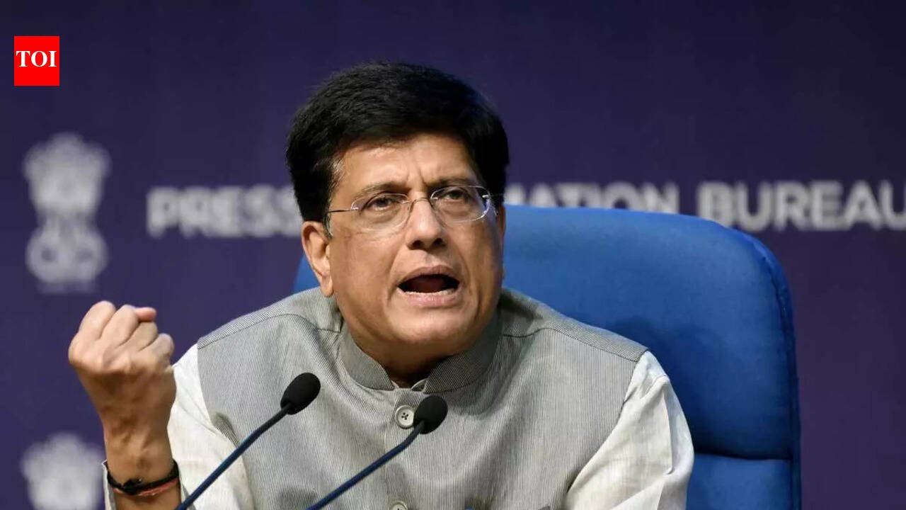 Rupee, CAD under watch, US trade talks on track: Goyal says India will 'come out winner'