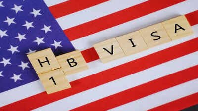 '20 years on H-1B': Major row over Indian man's viral post on not getting to see dying mother