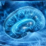 Brain revived: Scientists froze brain tissue to −196°C and it started working again |