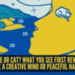 Human face or cat? What you see first reveals if you have a creative mind or peaceful nature