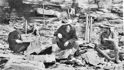 In 1909, an explorer found strange markings in the rock and unearthed the Burgess Shale, a 500-million-year-old secret |