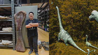 Researchers discover a 90-foot-long giant dinosaur in Southeast Asia
