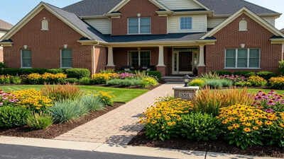 7 native plants that keep your front yard neat and pollinator-friendly |