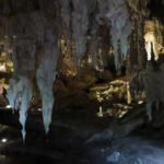 In the early 1900s, cavers in Western Australia found massive bones and unearthed Mammoth Cave, a lost world of giant fossils |