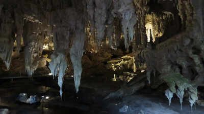 In the early 1900s, cavers in Western Australia found massive bones and unearthed Mammoth Cave, a lost world of giant fossils |