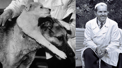 Meet Vladimir Demikhov: Scientist who created a two-headed dog and changed medicine forever |