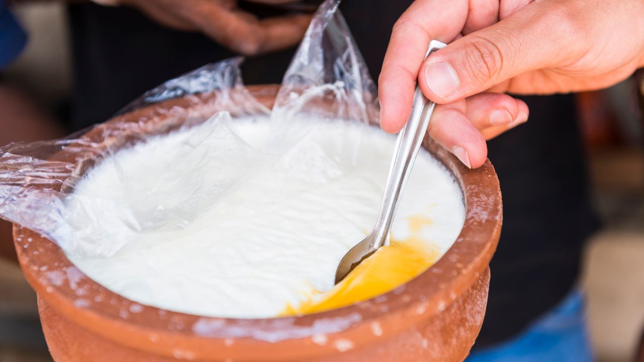 Why curd turns sour faster in summer and how to control fermentation at home
