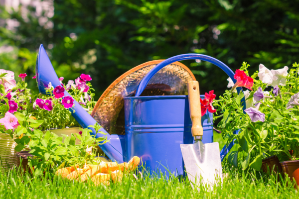 Things you are not allowed to do in your garden in UK