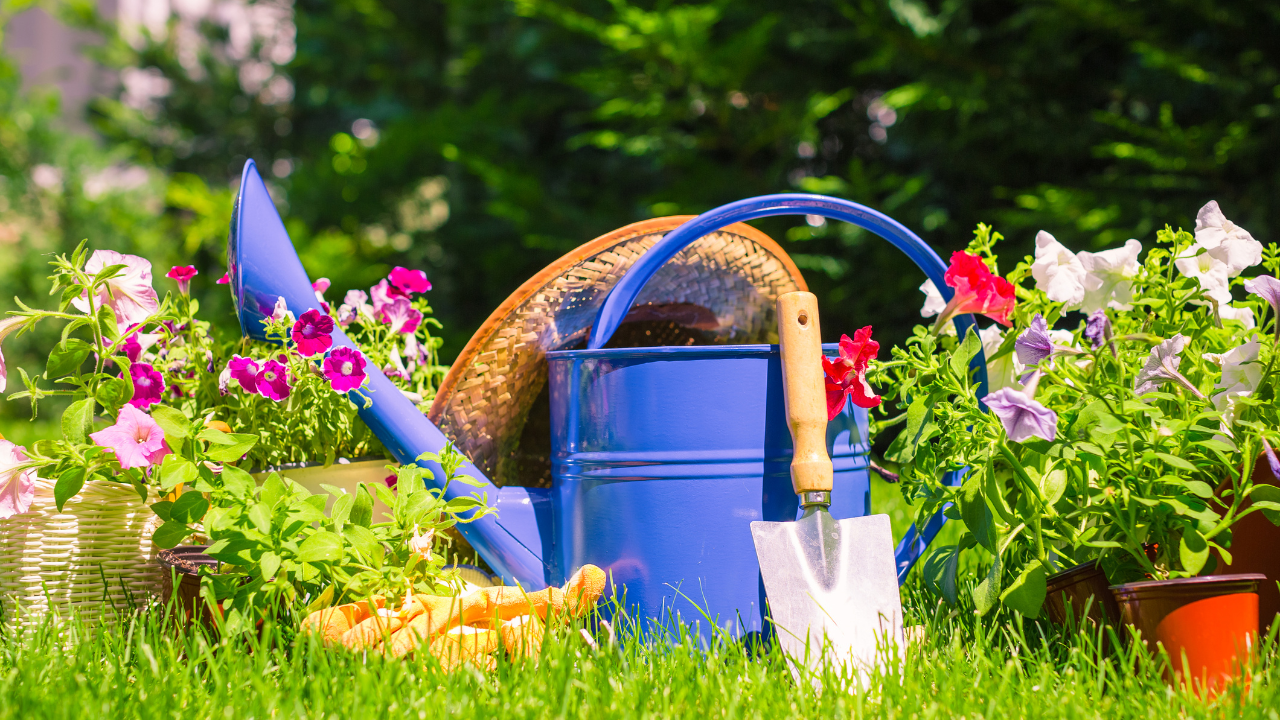 Things you are not allowed to do in your garden in UK