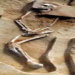 In 1968, Jim Bowler saw burnt bones in a sand dune and found the world’s oldest ritual |