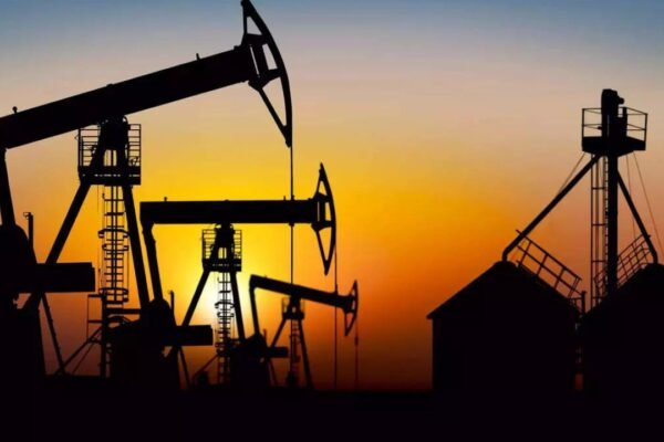 India Crude Imports: India's crude imports in April 85% of February level, Russia largest source