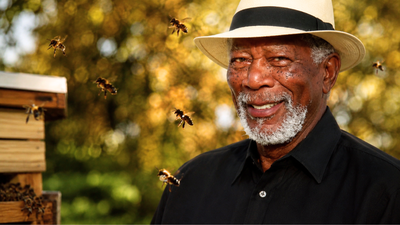 Morgan Freeman turned his 124-acre ranch into a paradise sanctuary for bees