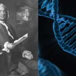 Scientists reveal more than 1.3 million people may share DNA with Maryland’s earliest colonists
