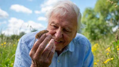 Sir David Attenborough celebrates 100th birthday: The life, legacy, and global impact of the world’s most beloved natural history broadcaster |